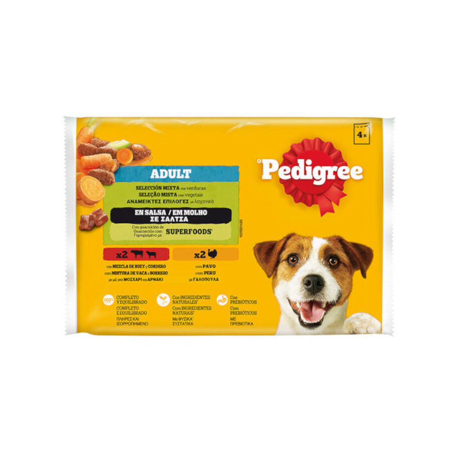 4 saquetas x 100 g Sach&ecirc; Pedigree Adult Sele&ccedil;&atilde;o de Carnes ao Molho para c&atilde;es, , large Imagem n&uacute;mero 1