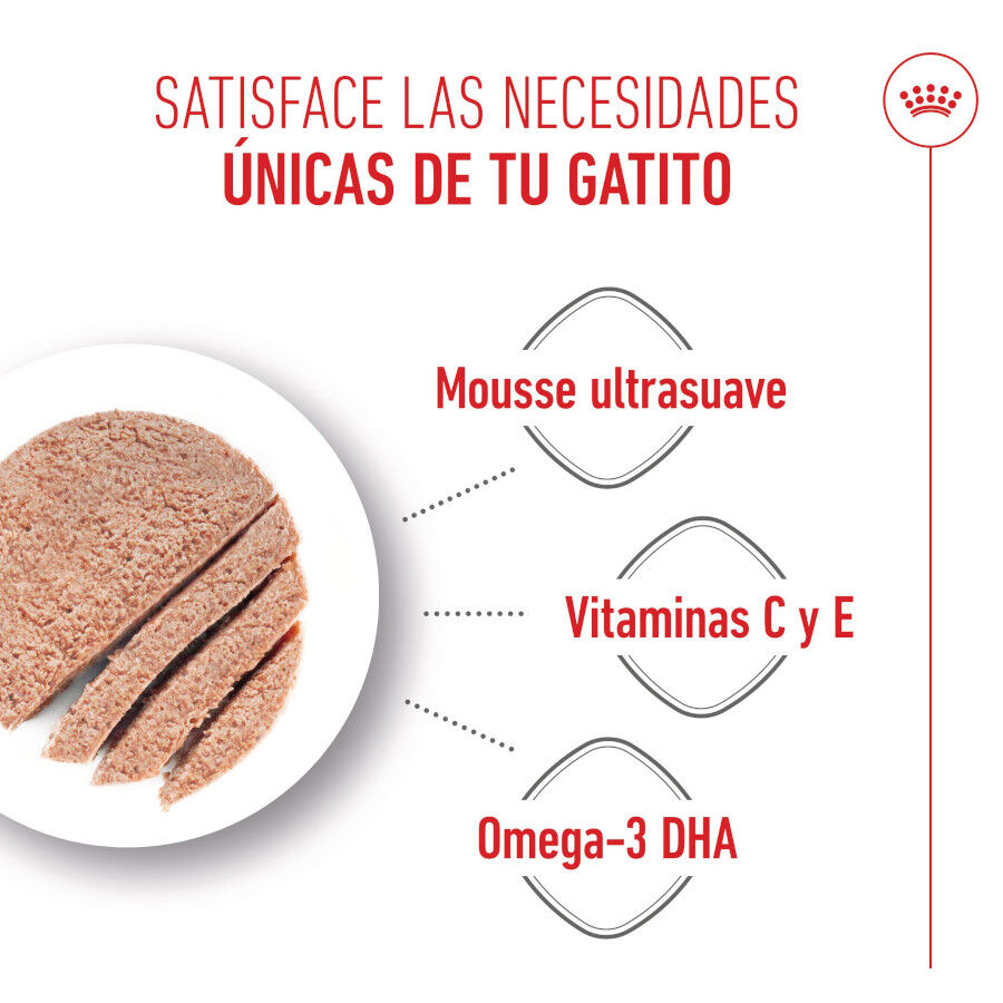 195 g Royal Canin Mother Baby mousse latas para gatos, , large Imagem n&uacute;mero 4