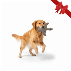 Wonder Christmas Peluche Pato de Natal para Cães,  Wonder Christmas Peluche Pato de Natal para Cães