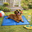 Summer Vibes Manta Refrescante Azul para c&atilde;es, , large Indicador imagem n&uacute;mero 1