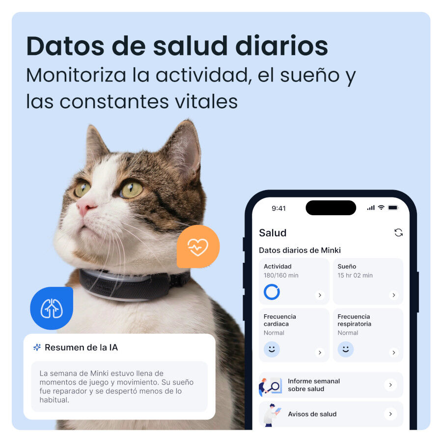 Tractive CAT 6 Mini Preto GPS para gatos, , large Imagem n&uacute;mero 5