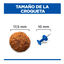 12 kg Hill's Science Plan Perfect Weight y Active Mobility frango ra&ccedil;&atilde;o para c&atilde;es, , large Indicador imagem n&uacute;mero 4