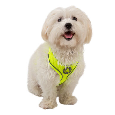 TK-Pet Soft Peitoral Refletor Amarelo para cães