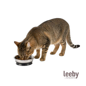 Leeby Comedouro de Metal com Ventosa para gatos 