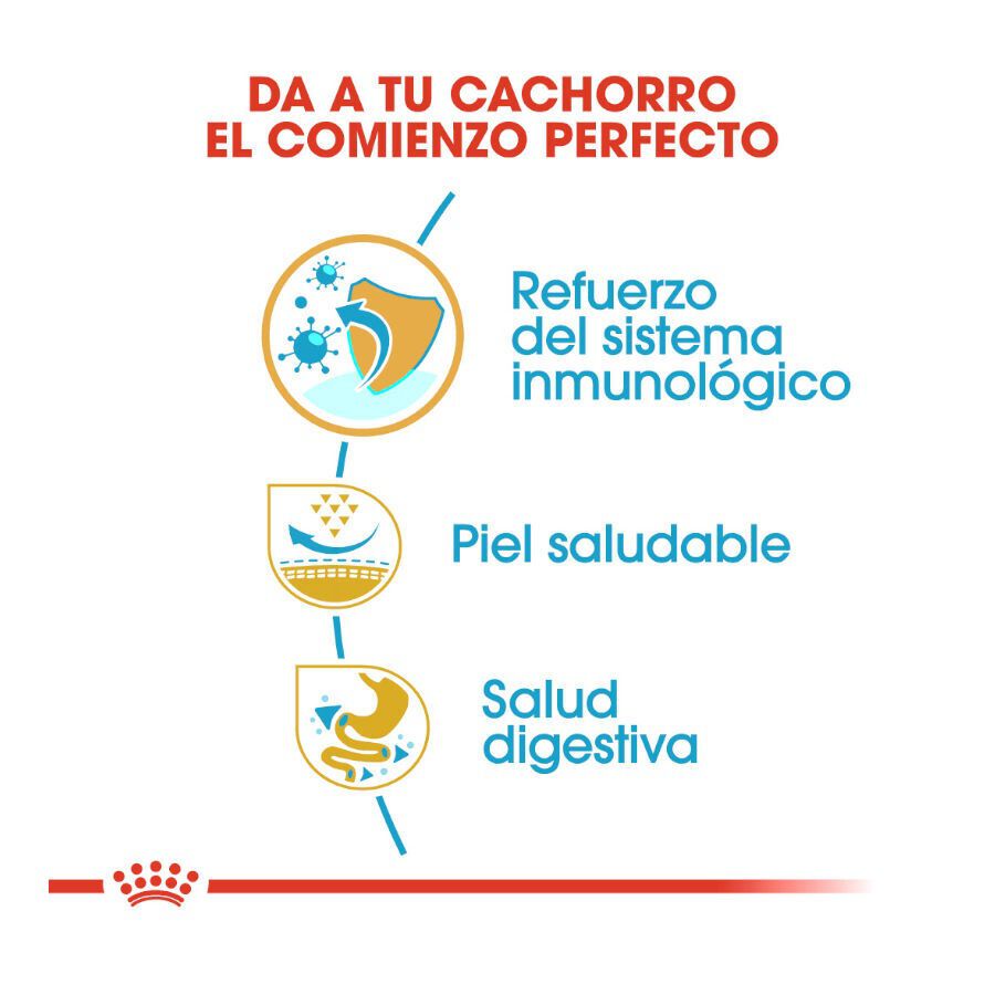 1.5 kg Royal Canin Puppy Pug ra&ccedil;&atilde;o para c&atilde;es, , large Imagem n&uacute;mero 6