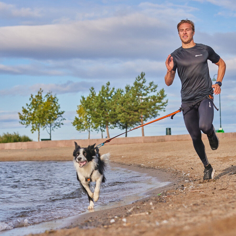 Non-stop dogwear Bungee Trela el&aacute;stica preta e laranja para c&atilde;es, , large Imagem n&uacute;mero 3
