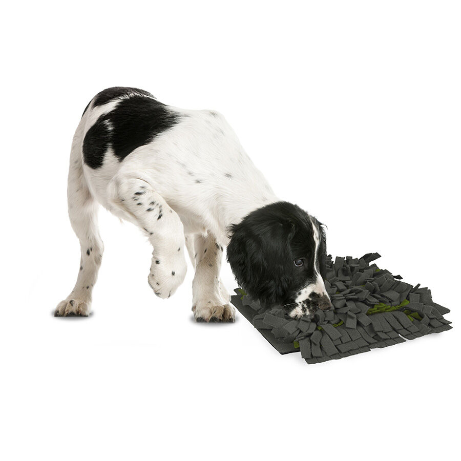 Flamingo Tapete Olfativo para c&atilde;es, , large Imagem n&uacute;mero 2