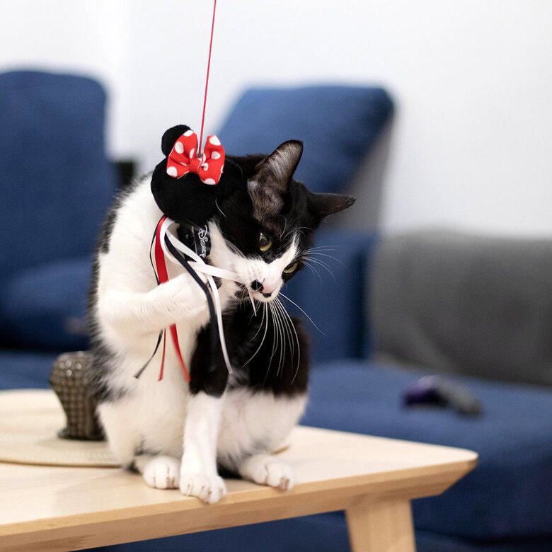 Disney Minnie Mouse Vara para gatos,  Imagem número 4 Disney Minnie Mouse Vara para gatos, , large Imagem número 4