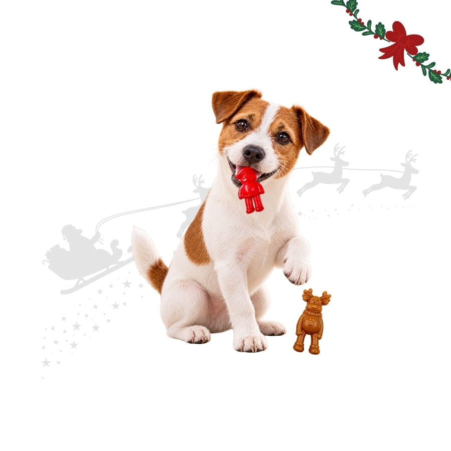 1 pack x 2 uns. Wonder Christmas Figuras Mastig&aacute;veis Snacks para C&atilde;es, , large Imagem n&uacute;mero 1