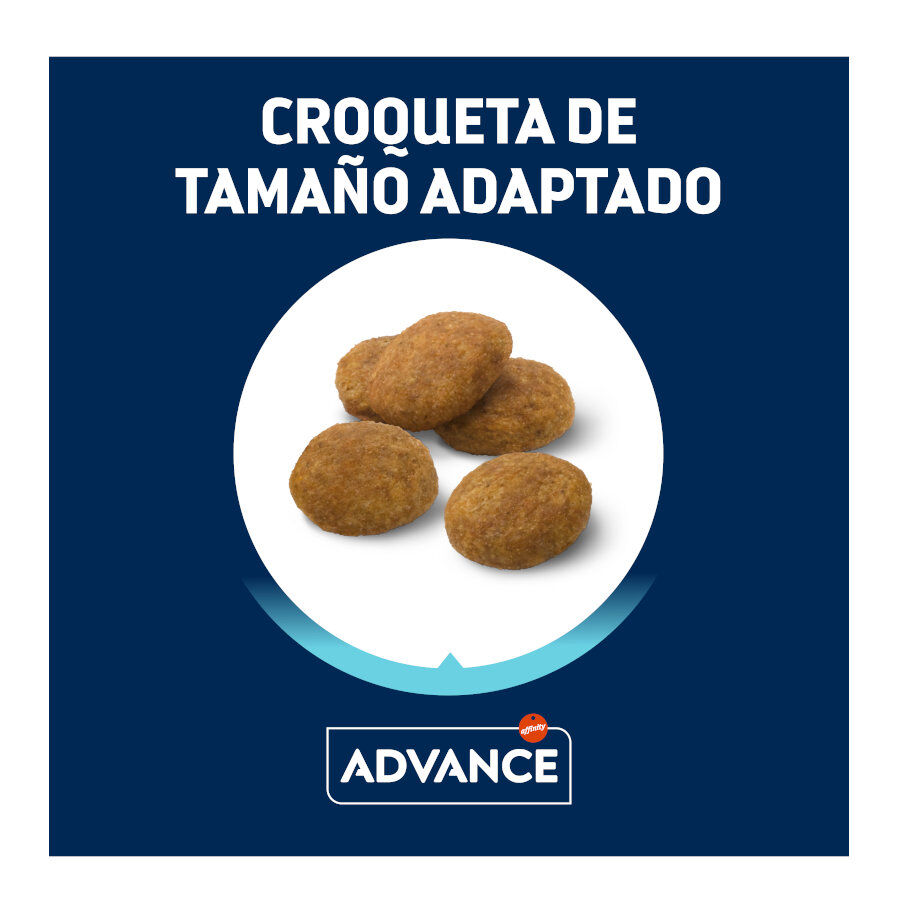 12 kg Advance Active Defense Medium Puppy Frango e Arroz ra&ccedil;&atilde;o para c&atilde;es, , large Imagem n&uacute;mero 3