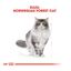 10 kg Royal Canin Adult Bosques da Noruega Ração para gatos, , large Indicador imagem número 4