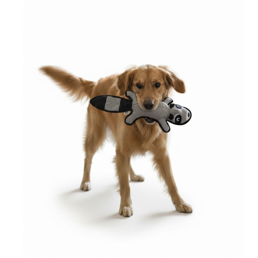 Love the Earth Peluche guaxinim para c&atilde;es, , large Imagem n&uacute;mero 4