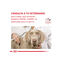 Royal Canin GastroIntestinal Low Fat ração para cães pequenos, , large Indicador imagem número 8