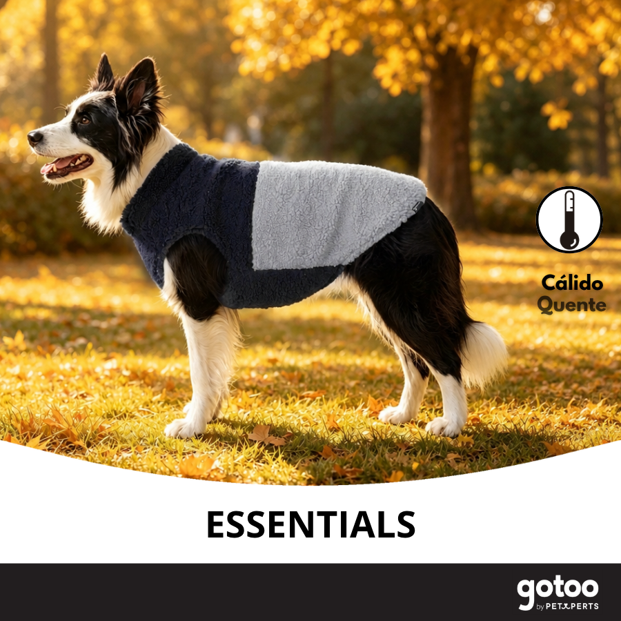 Gotoo Casaco Azul e Cinzento para c&atilde;es, , large Imagem n&uacute;mero 6