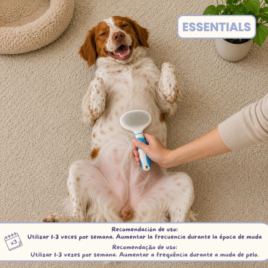 Bloob Escova cardadeira e de cerdas para c&atilde;es, , large Imagem n&uacute;mero 8