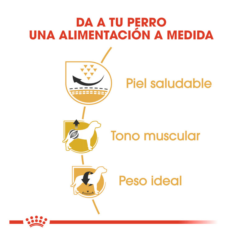 3 kg Royal Canin Adult Pug ração para cães,  Imagem número 6 3 kg Royal Canin Adult Pug ração para cães, , large Imagem número 6