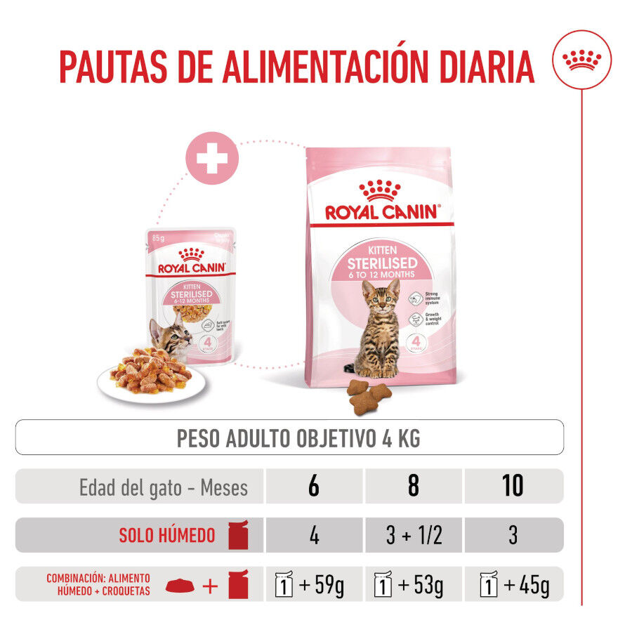 12 saquetas x 85 g Royal Canin Kitten Sterilised Saquetas de Gelatina para gatinhos Pack poupan&ccedil;a!, , large Imagem n&uacute;mero 7
