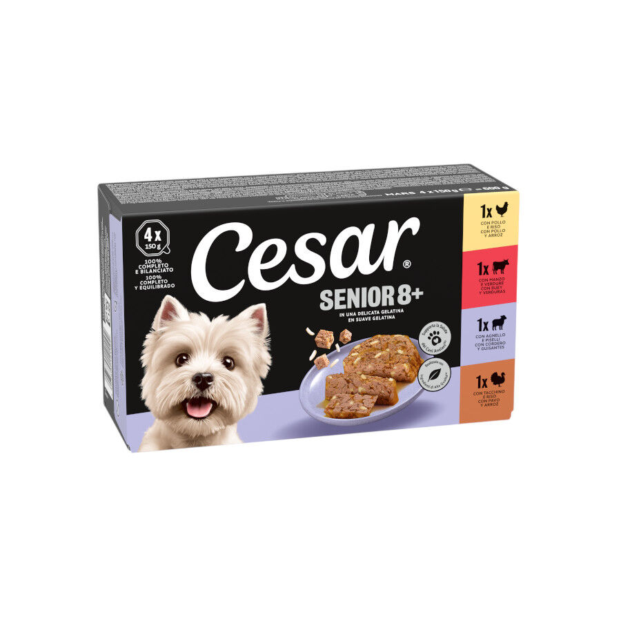 4 terrinas x 150 g Cesar Mistura de Carnes Terrina em Geleia para C&atilde;es S&eacute;nior - Multipack, , large Imagem n&uacute;mero 1