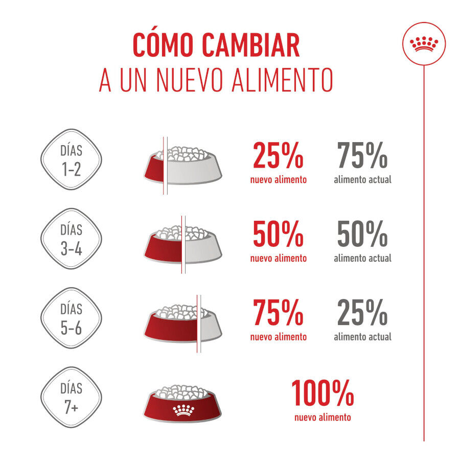 2 x 4 kg Royal Canin Mother & Baby ra&ccedil;&atilde;o para gatos Pack poupan&ccedil;a!, , large Imagem n&uacute;mero 10