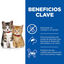 Hill’s Kitten Science Plan No Grain Kitten Frango ração, , large Indicador imagem número 3