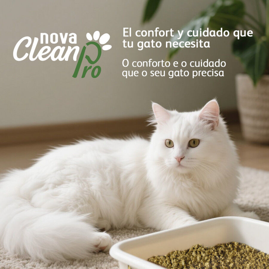 Nova Clean Pro Areia Vegetal para gatos, , large Imagem n&uacute;mero 5