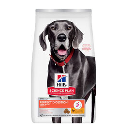Hill's Large Adult Science Plan Perfect Digestion Frango ração para cães,  Hill's Large Adult Science Plan Perfect Digestion Frango ração para cães