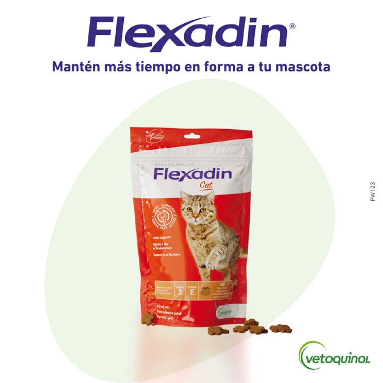 60 comprimidos Vetoquinol Flexadin Adult Condroprotetor para gatos,  Imagem número 1 60 comprimidos Vetoquinol Flexadin Adult Condroprotetor para gatos, , large Imagem número 1