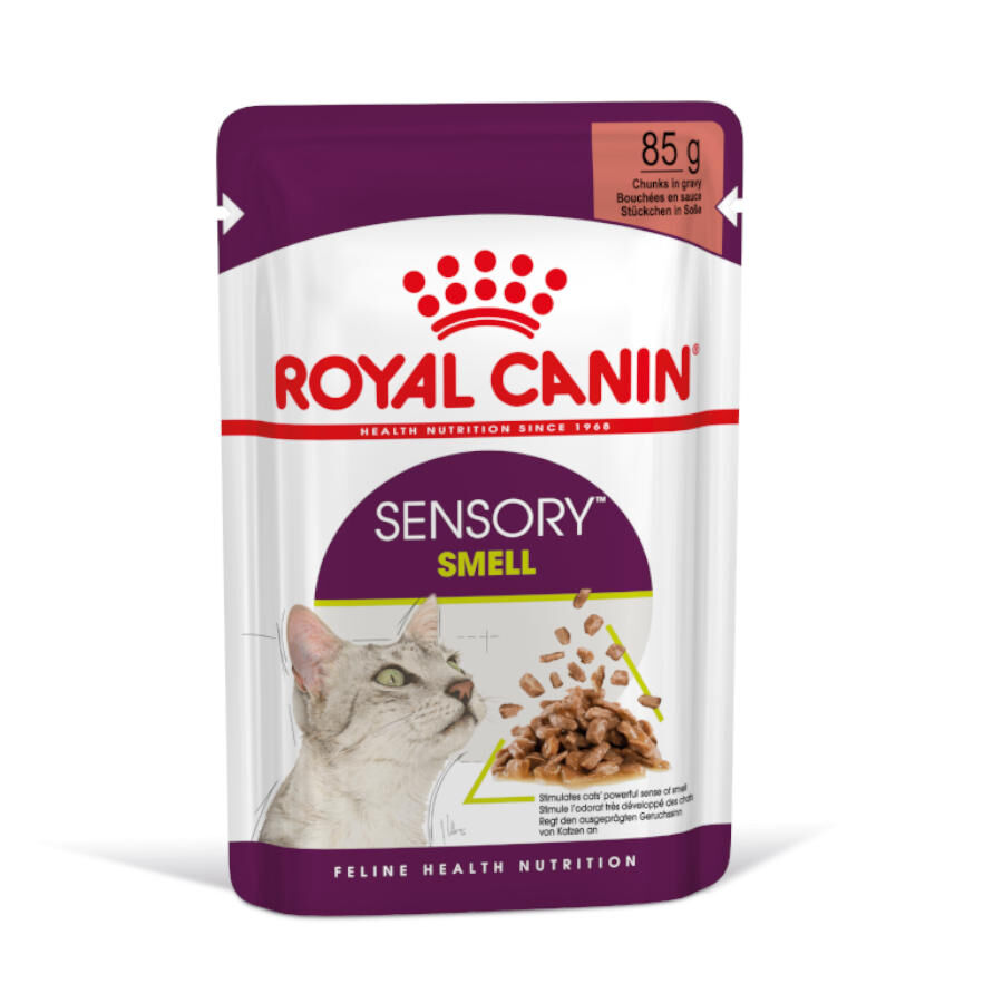 85 g Royal Canin Adult Sensory Smell molho saqueta para gatos, , large Imagem n&uacute;mero 2