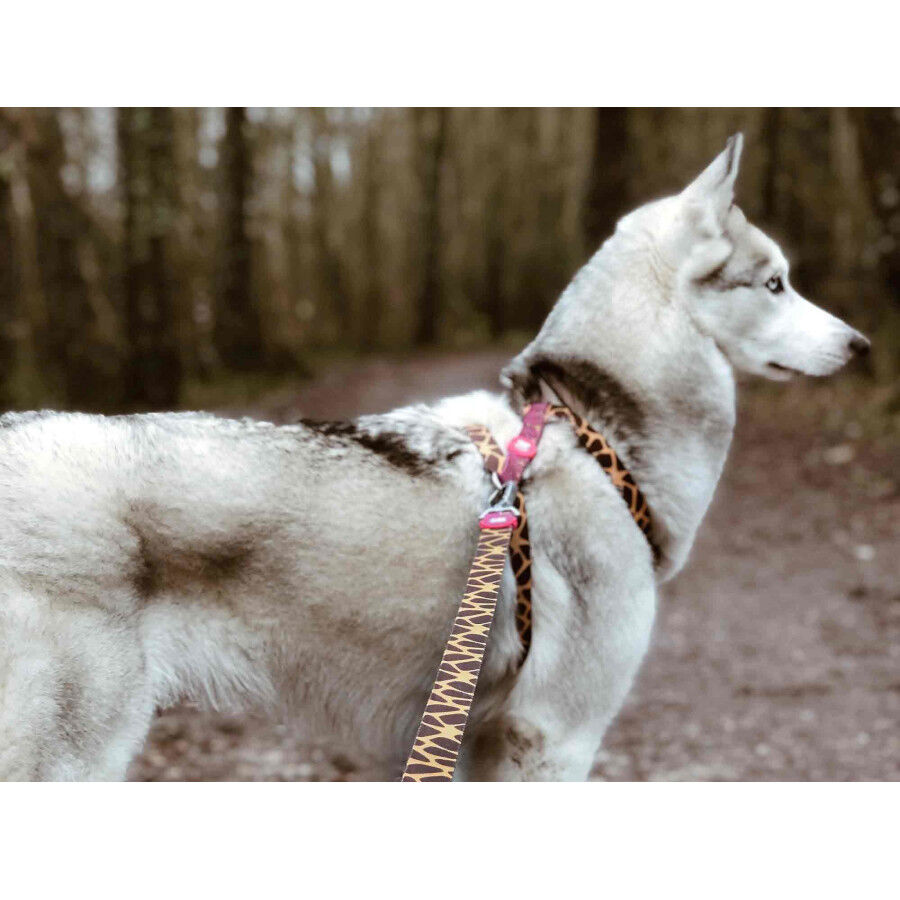 Dukier Savana cl&aacute;ssico Peitoral com Estampado de girafa para c&atilde;es, , large Imagem n&uacute;mero 3