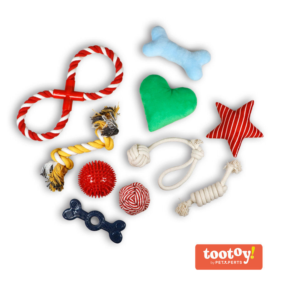 Tootoy! Chew Exploration Toys - Conjunto de brinquedos para cachorros, , large Imagem n&uacute;mero 1