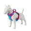 Freedog Cool Pro Tech Peitoral Desportivo Fúscia para cães, , large Indicador imagem número 11