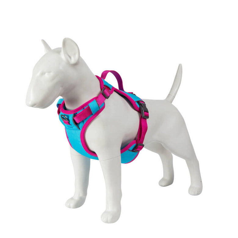 Freedog Cool Pro Tech Peitoral Desportivo Fúscia para cães,  Imagem número 11 Freedog Cool Pro Tech Peitoral Desportivo Fúscia para cães, , large Imagem número 11