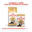 2 x 10 kg Royal Canin Persa ração para gatos adultos Pack poupança!, , large Indicador imagem número 3