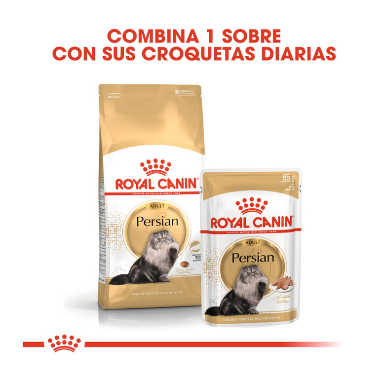 10 kg Royal Canin Persa ração para gatos adultos,  Imagem número 3 10 kg Royal Canin Persa ração para gatos adultos, , large Imagem número 3