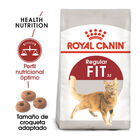 Royal Canin Regular Fit 32 ração para gatos, , large image number null