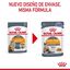 85 g Royal Canin Intense Beauty Saquetas em Gelatina para gatos, , large Indicador imagem número 2