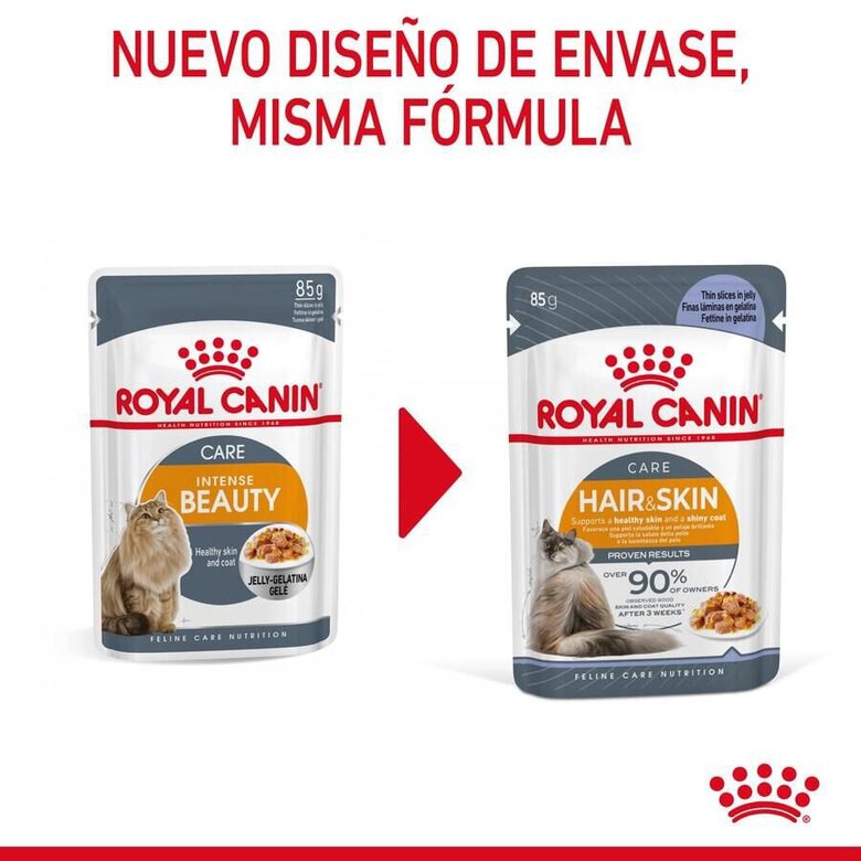 85 g Royal Canin Intense Beauty Saquetas em Gelatina para gatos,  Imagem número 2 85 g Royal Canin Intense Beauty Saquetas em Gelatina para gatos, , large Imagem número 2