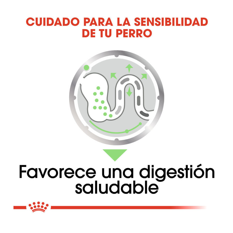 85 g Royal Canin Digestive Care Pat&ecirc; em saquetas para c&atilde;es, , large Imagem n&uacute;mero 5