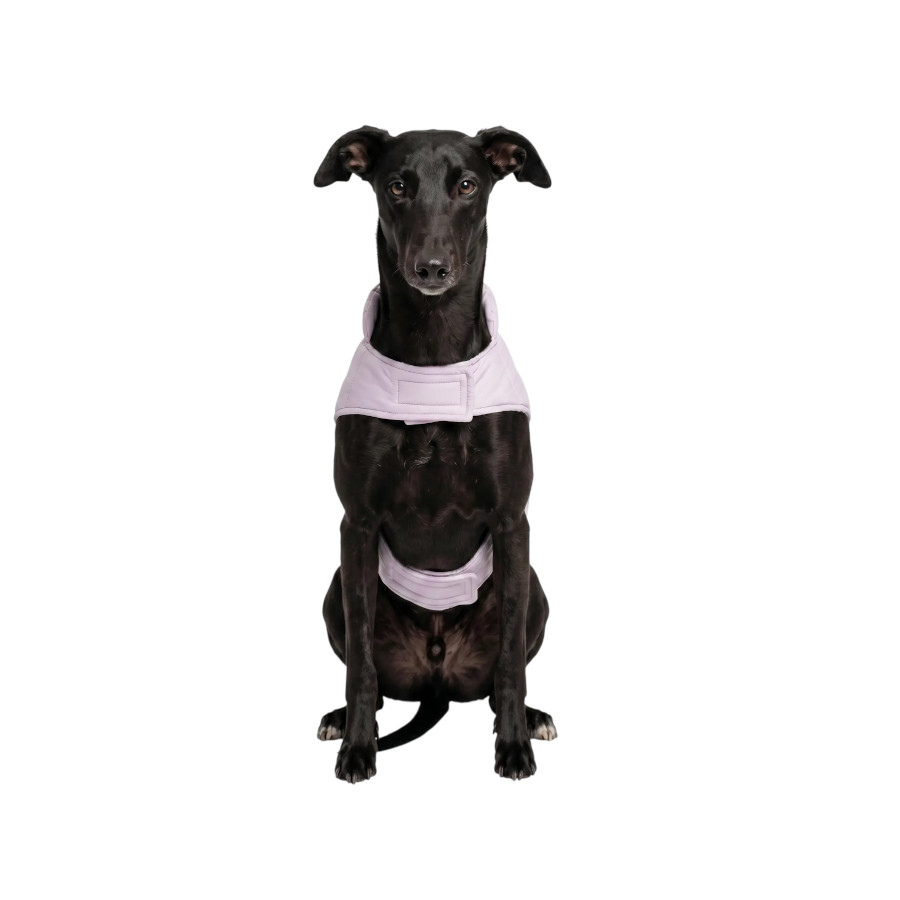 Gotoo Casaco Lil&aacute;s para c&atilde;es, , large Imagem n&uacute;mero 7
