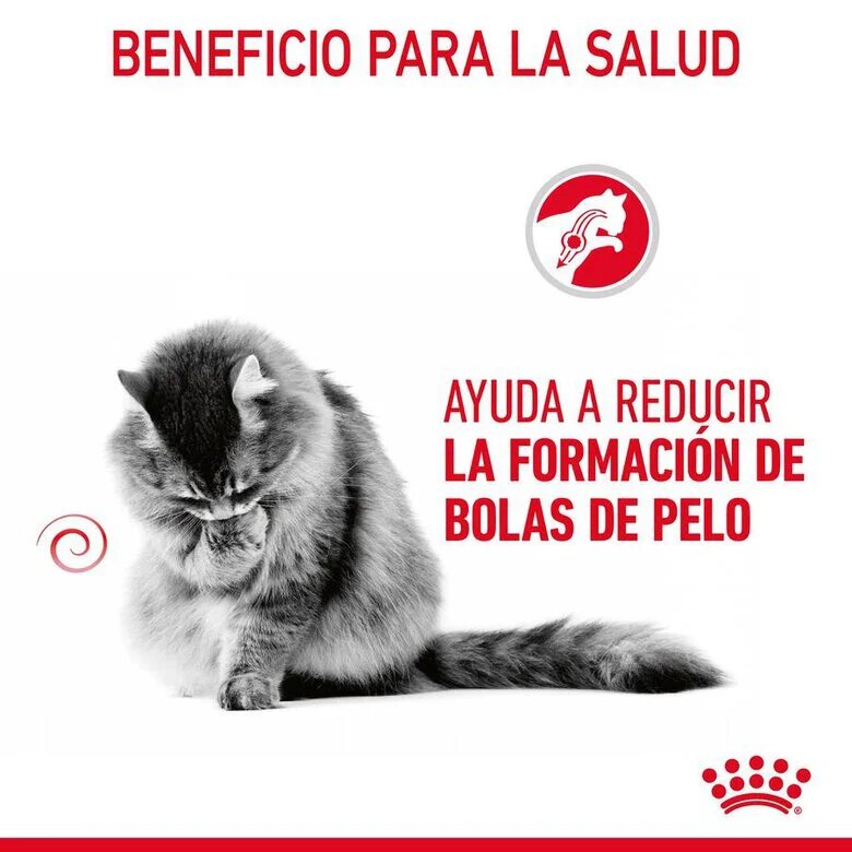 85 g Royal Canin Hairball alimento húmido em molho saquetas para gatos,  Imagem número 4 85 g Royal Canin Hairball alimento húmido em molho saquetas para gatos, , large Imagem número 4