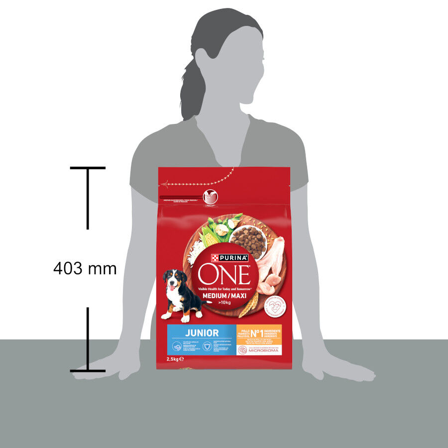 2,5 kg Purina One Pienso Pollo para perros junior, , large Imagem n&uacute;mero 4