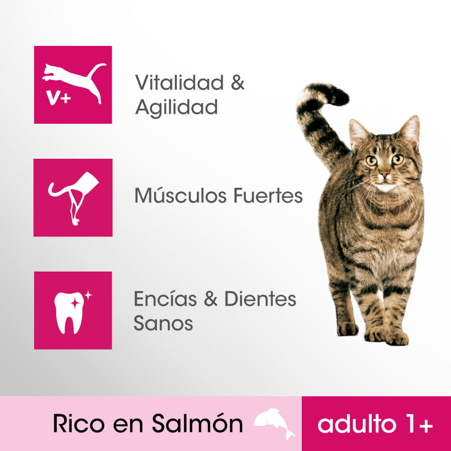 1.4 kg Ra&ccedil;&atilde;o para gatos Perfect Fit Adulto 1+ Salm&atilde;o Esterilizado, , large Imagem n&uacute;mero 2