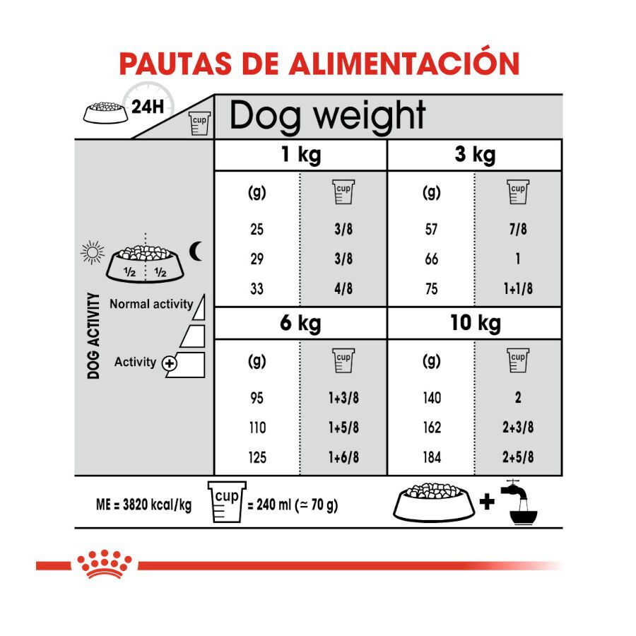 3 kg Royal Canin Mini Dental Care ra&ccedil;&atilde;o para c&atilde;es, , large Imagem n&uacute;mero 7