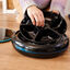 Cecotec Pumba 1600 Purrfect Meal Comedouro Dispensador para cães e gatos, , large Indicador imagem número 3