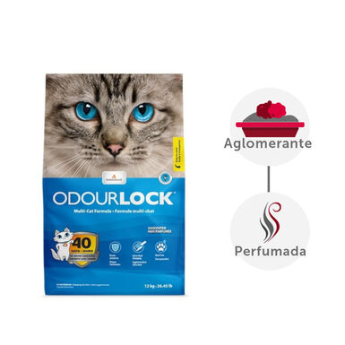 Intersand Odourlock Areia Aglomerante Inodoro para gatos