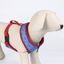 DC Super Pets Peitoral estampado para cães, , large Indicador imagem número 2