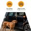 Outech X-perience Transportadora de tela para c&atilde;es pequenos, , large Indicador imagem n&uacute;mero 3