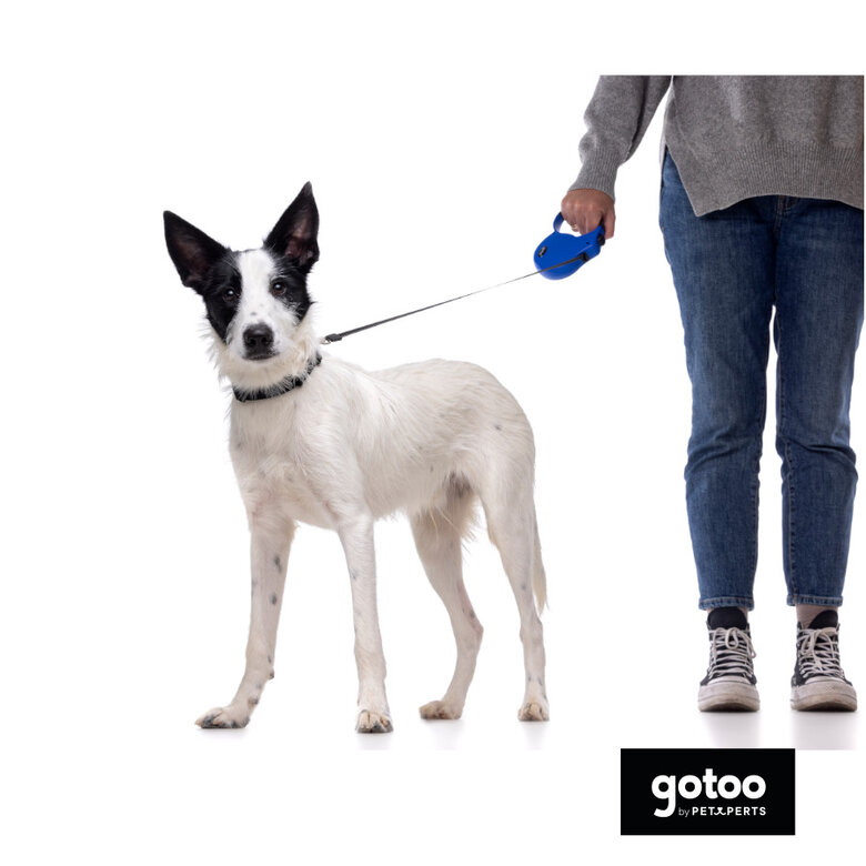 Gotoo Coleira de nylon preta para cães,  Imagem número 4 Gotoo Coleira de nylon preta para cães, , large Imagem número 4