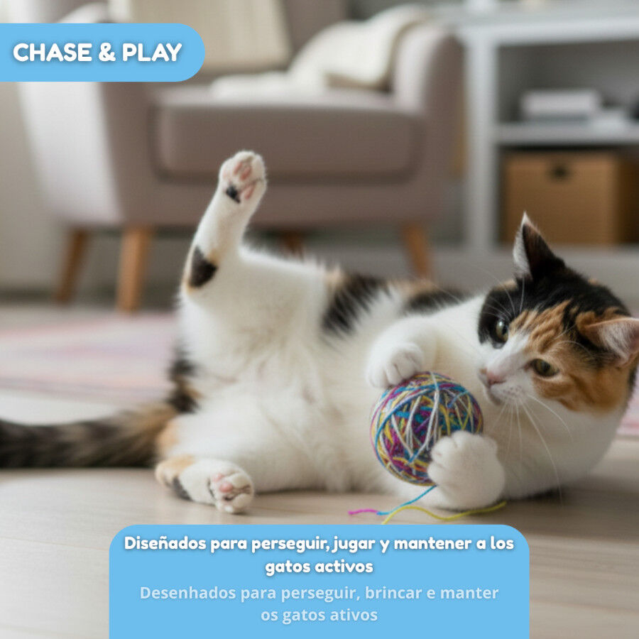 Tootoy! Chase & Play Bola de l&atilde; para gatos, , large Imagem n&uacute;mero 5