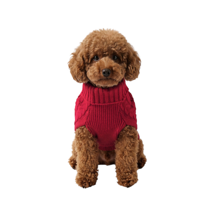 Gotoo Camisola de Malha Vermelha para c&atilde;es, , large Imagem n&uacute;mero 7